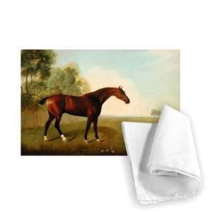  A Bay Horse in a Field, 1778 (oil on canvas)   Tea Towel 