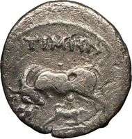 APOLLONIA in ILLYRIA 80BC Rare Authentic Ancient Silver Greek Coin Cow 
