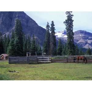  Log Cabin, Horse and Corral, Banff National Park, Alberta 
