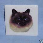 himalayan ragd oll cat square porcelain magnet decal h expedited