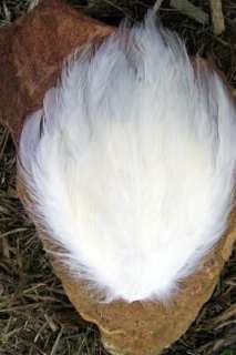 WHITE & EGGSHELL BLENDED ROOSTER HACKLE FEATHER PAD  