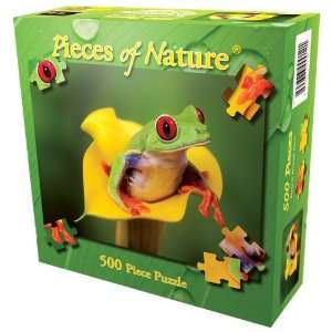  Peekaboo Frog Jigsaw Puzzle 500pc Toys & Games