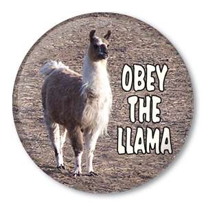 OBEY THE LLAMA 1.5 pin button badge animal farm farmer  