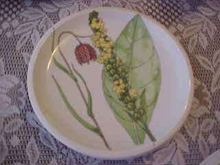 Spal Porcelanas Midsommar Luncheon Plate #3 2 Available  