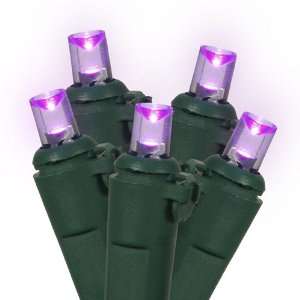 12 Purple LED Wide Angle Replacement Christmas Light Bulbs 