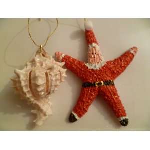  2 Pink Murex Glitter Shells and 1 Starfish Santa Claus 