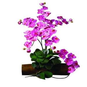  Dark Pink Phalaenopsis Silk Orchid Flower w/Leaves (6 