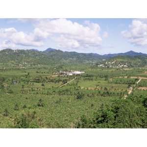 Landscape with Banana Plantations, St. Lucia, Windward Islands Premium 