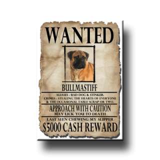 BULLMASTIFF Wanted Poster FRIDGE MAGNET No 1 DOG Funny  